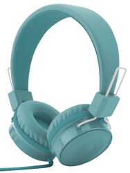 Director headset